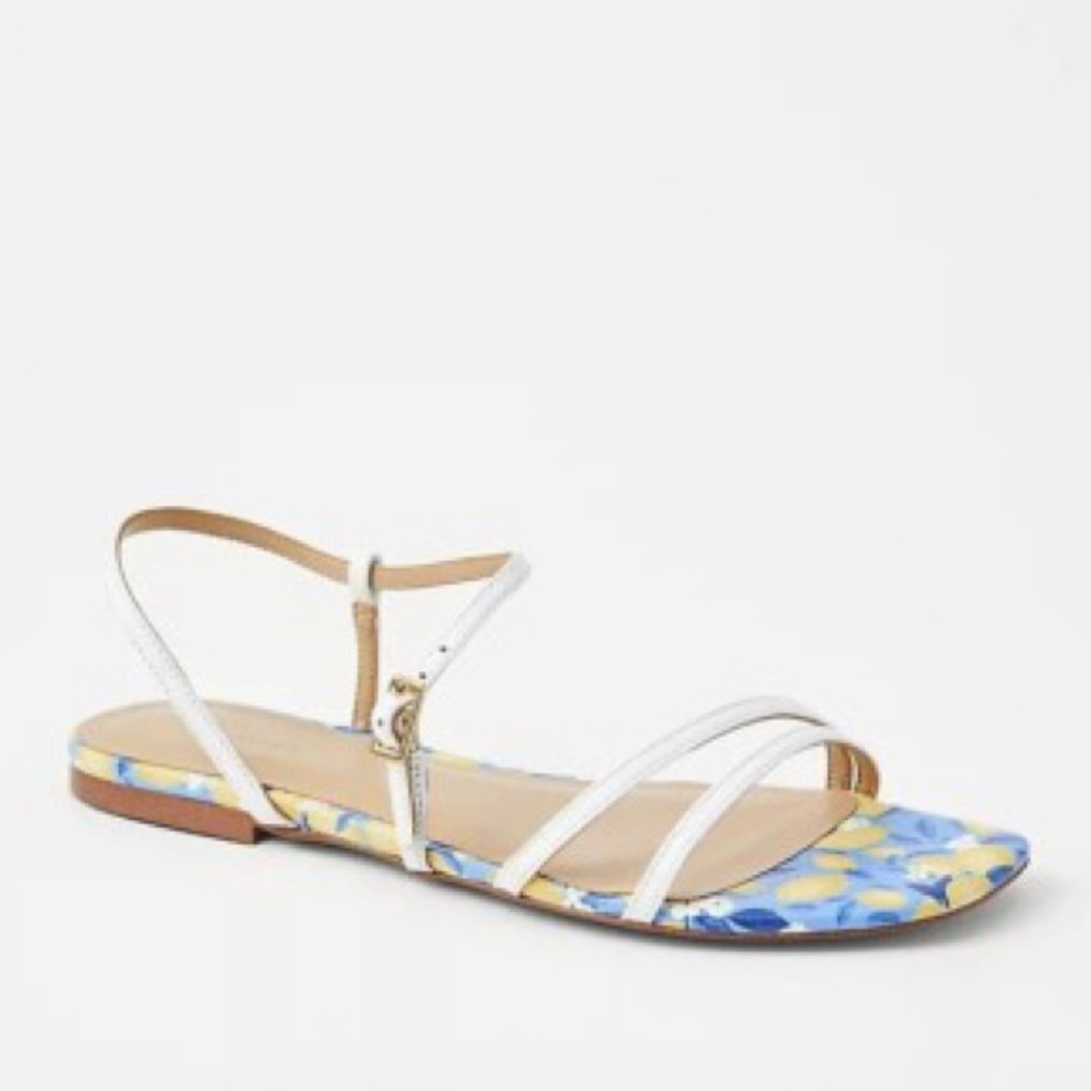 Ann Taylor Flat Sandal